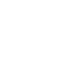 logo-vipservice